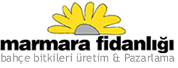 Marmara Fidanl���